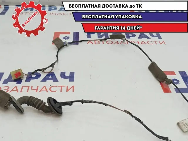Проводка двери задней правой Chevrolet Spark 96590333.
