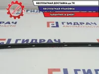Уплотнитель стекла двери задней левой Chevrolet Spark 96602256.