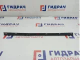 Уплотнитель стекла двери задней левой Chevrolet Spark 96602256.