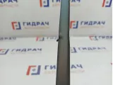 Уплотнитель стекла двери задней левой Chevrolet Spark 96602256.