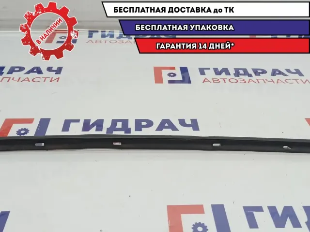 Уплотнитель стекла двери задней правой Chevrolet Spark 96602257.