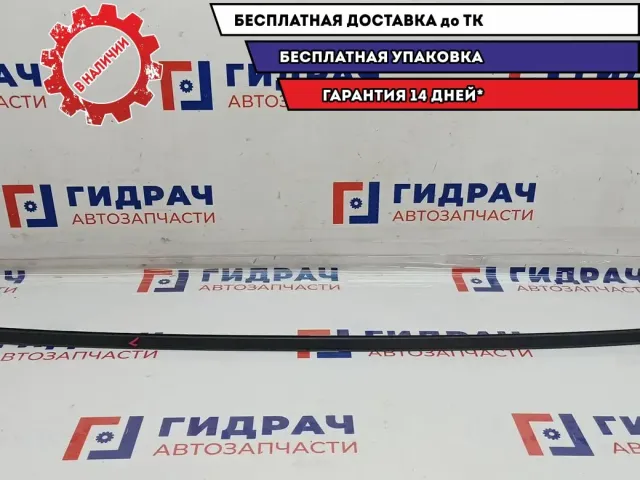 Молдинг крыши левый Chevrolet Spark 96590755.