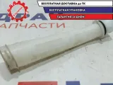 Горловина бачка омывателя Chevrolet Spark 96664607.