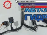 Проводка на форсунки Citroen Berlingo 2 656905. Дефект.