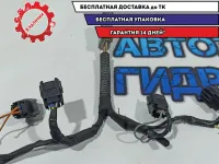Проводка на форсунки Citroen Berlingo 2 656905. Дефект.