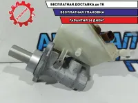 Цилиндр тормозной главный Citroen Berlingo 2 4601V8.