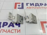 Петли двери передней левой Citroen Berlingo