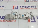 Петли двери задней левой Citroen Berlingo