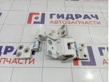 Петли двери задней правой Citroen Berlingo