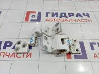Петли двери задней правой Citroen Berlingo