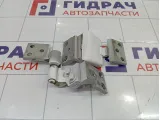 Петли двери задней правой Citroen Berlingo