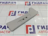 Обшивка стойки средней левой верхняя Citroen Berlingo 9016N9