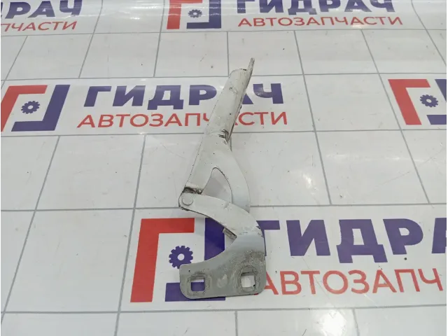 Петля капота правая Citroen Berlingo 791281
