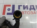Трубка картерных газов Citroen Berlingo 1192WR