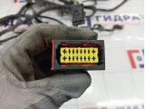 Проводка двигателя Citroen Berlingo 6577ZY