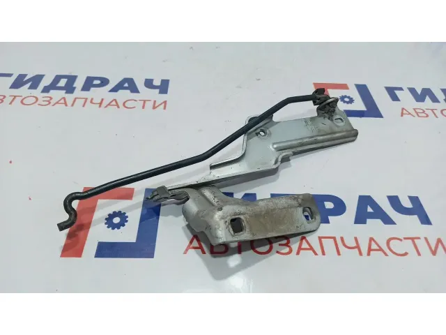 Петля капота левая Citroen C4 791278.