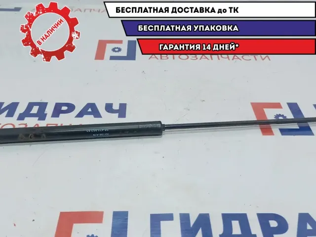 Амортизатор двери багажника Citroen C4 8731K0.