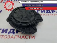 Динамик Citroen C4 6562C5.