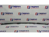 Молдинг крыши левый Citroen C4 8319J4.