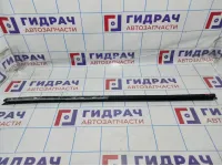 Уплотнитель стекла двери передней левой Citroen C4 9309J7