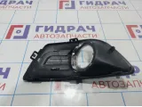 Решетка на противотуманную фару правая Citroen C4