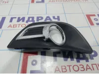 Решетка на противотуманную фару левая Citroen C4