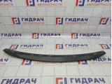Спойлер багажника Citroen C4 8742H5