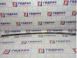 Молдинг крыши левый Citroen C4 8319J4