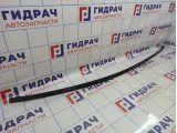 Молдинг крыши правый Citroen C4 8320C9