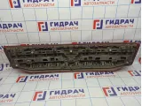 Накладка двери багажника Citroen C4 8742H0
