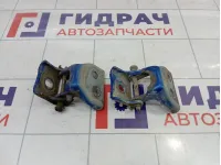 Петли двери передней левой Citroen C4