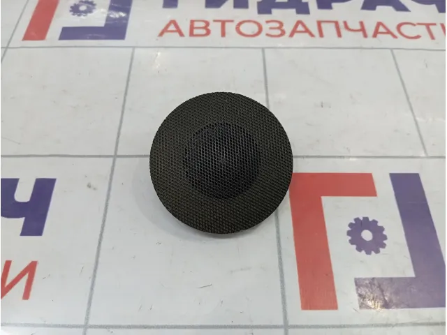 Динамик Citroen C4 6562C7