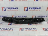Спойлер багажника Citroen C4 8742Q8