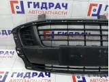 Решетка в бампер центральная Citroen C4 742224