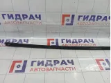 Молдинг крыши левый Citroen C4 8319J3