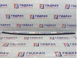 Молдинг крыши правый Citroen C4 8320C8