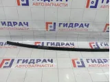 Молдинг крыши правый Citroen C4 8320C8