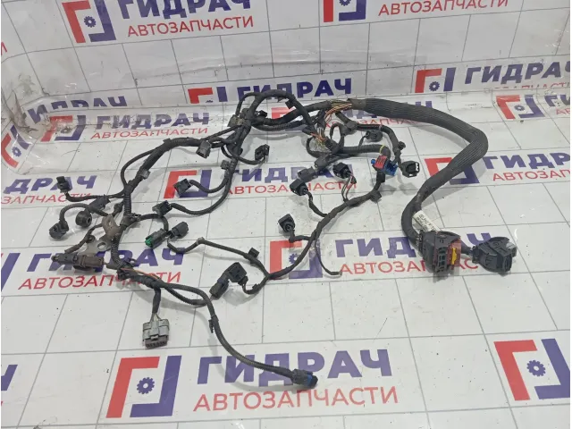 Проводка двигателя Citroen C4 658561
