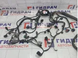 Проводка двигателя Citroen C4 658561
