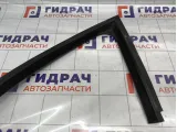 Уплотнитель стекла двери передней левой Citroen C4 9300N6