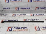 Молдинг стекла заднего правого Citroen C4 9334H6