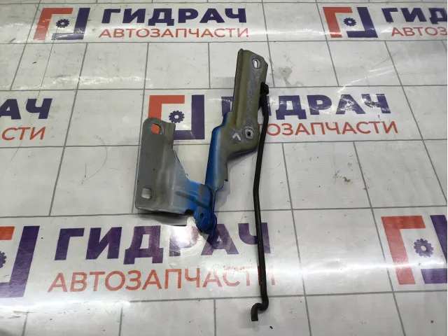 Петля капота левая Citroen C4 791278