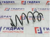 Пружина передняя Citroen C4 5002SY