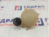 Бачок расширительный Citroen C4 1323FA