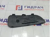 Заглушка бампера передняя левая Citroen C4 745363