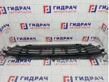 Решетка бампера переднего Citroen C4 7422R5