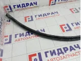 Уплотнитель капота Citroen C4