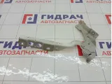 Петля капота правая Citroen C4 791351