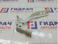 Петля капота левая Citroen C4 7912GY