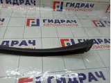 Молдинг лобового стекла правый Citroen C4 9687124580